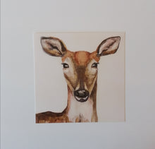 Lataa kuva Galleria-katseluun, Kauris -kortti