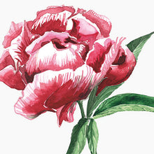 Lataa kuva Galleria-katseluun, Ruusupioni -kortti